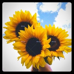 Meet your Posher, Bella